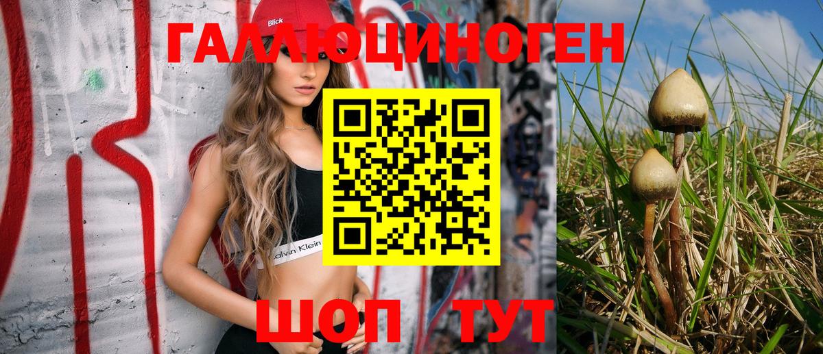 Псилоцибиновые грибы мухоморы Ессентуки